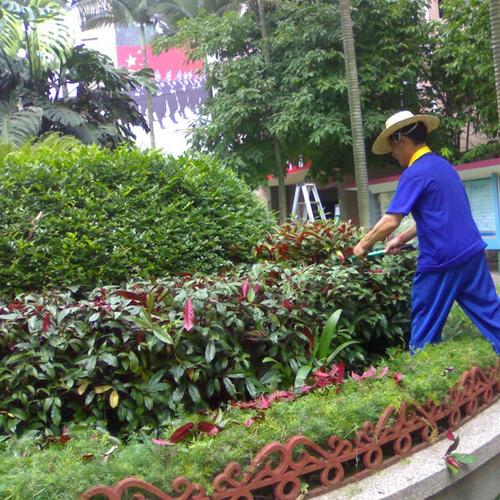 园林绿化|园林绿化-重庆海清物业管理